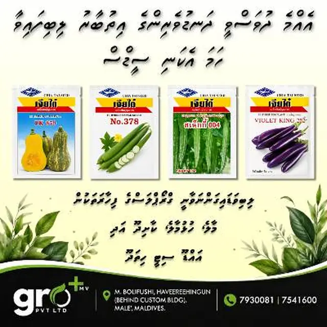 Chia Tai vegetable seed range